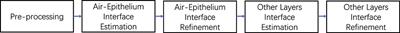 Robust and accurate corneal interfaces segmentation in 2D and 3D OCT images